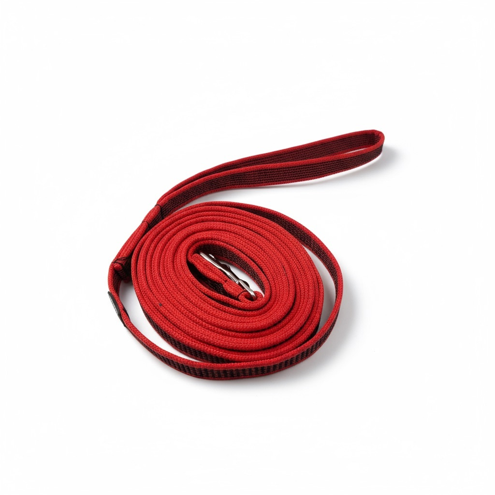 Поводок Лайт, наличие