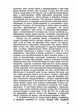 Учение о происхождении видов и дарвинизм | Рихард Гессе
