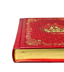 IMG_4603-Photoroom.png-Photoroom