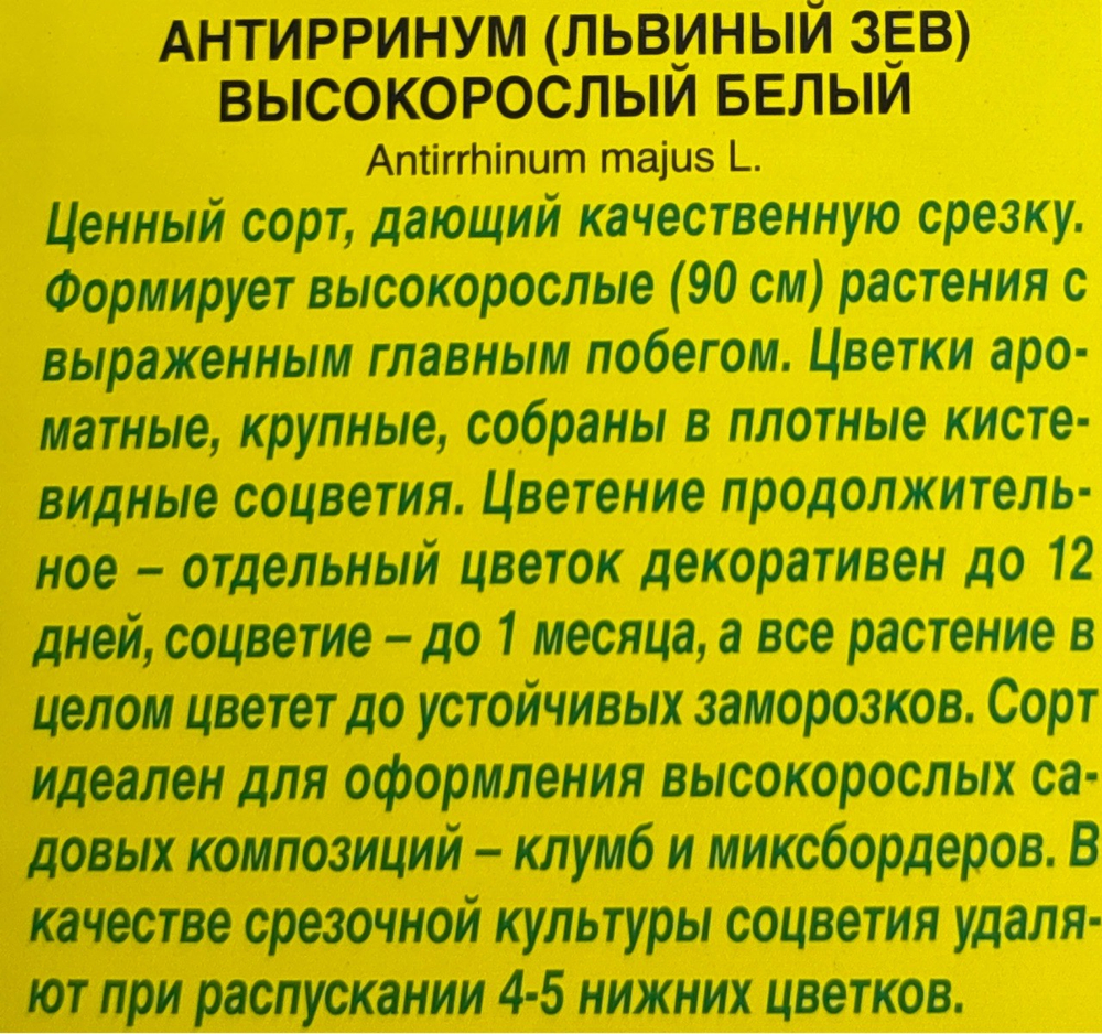 Львиный зев Высокорослый белый СМЦ-537