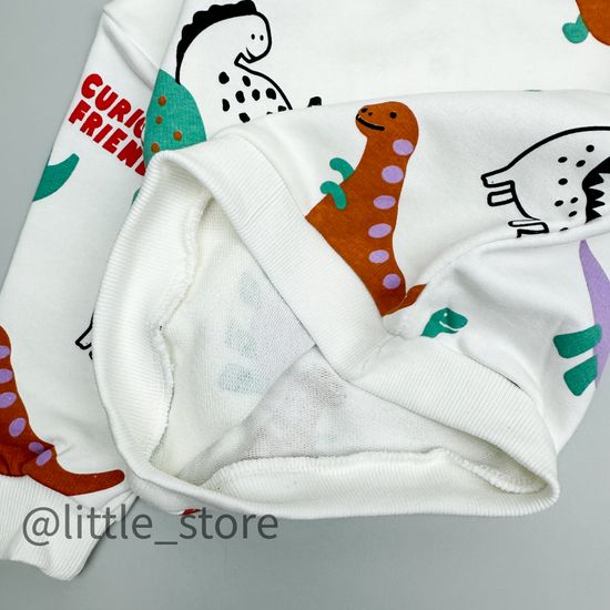 Комплект из футера "Динозавры"