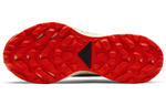 Кроссовки Nike Pegasus Trail 2 Gtx (Женская размерная сетка)