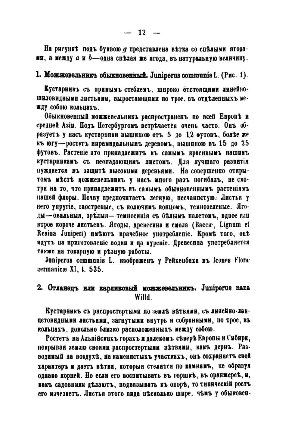 Русская дендрология или перечисление и описание древесных пород и многолетних вьющихся растений. Часть 1-5 | Эдуард Регель