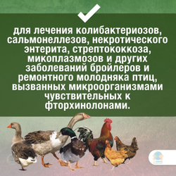 Энрофлокс 10%, раствор для орального применения молодняку птиц и бройлерам, 1 л. Энрофлоксацин.