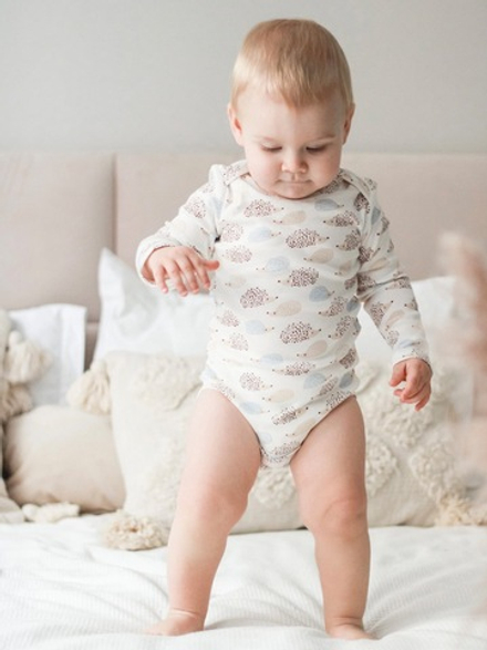 Боди Mjolk Ёжики на экрю, с длинным рукавом