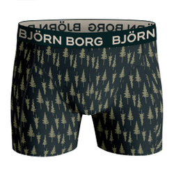 Мужские спортивные боксеры Björn Borg Core Boxer 2P - print