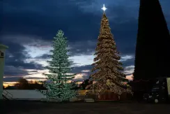 Уличная светодинамическая елка Лесная зеленая 12 м., ствольная, Литая, Green Trees (GT12LESPELED)