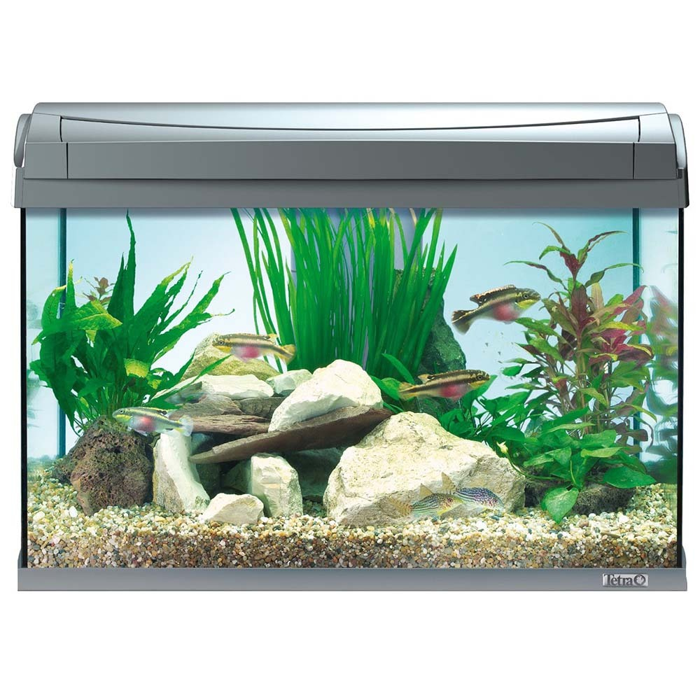 Tetra AquaArt Discover Line 60 л (серый) - прямоугольный аквариум со светом и фильтром