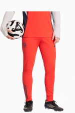 Штаны adidas FC Bayern 25/26 Training Competition - красный
