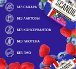 Конфеты SCANDIC без сахара со вкусом "Лесные ягоды" 14 гр