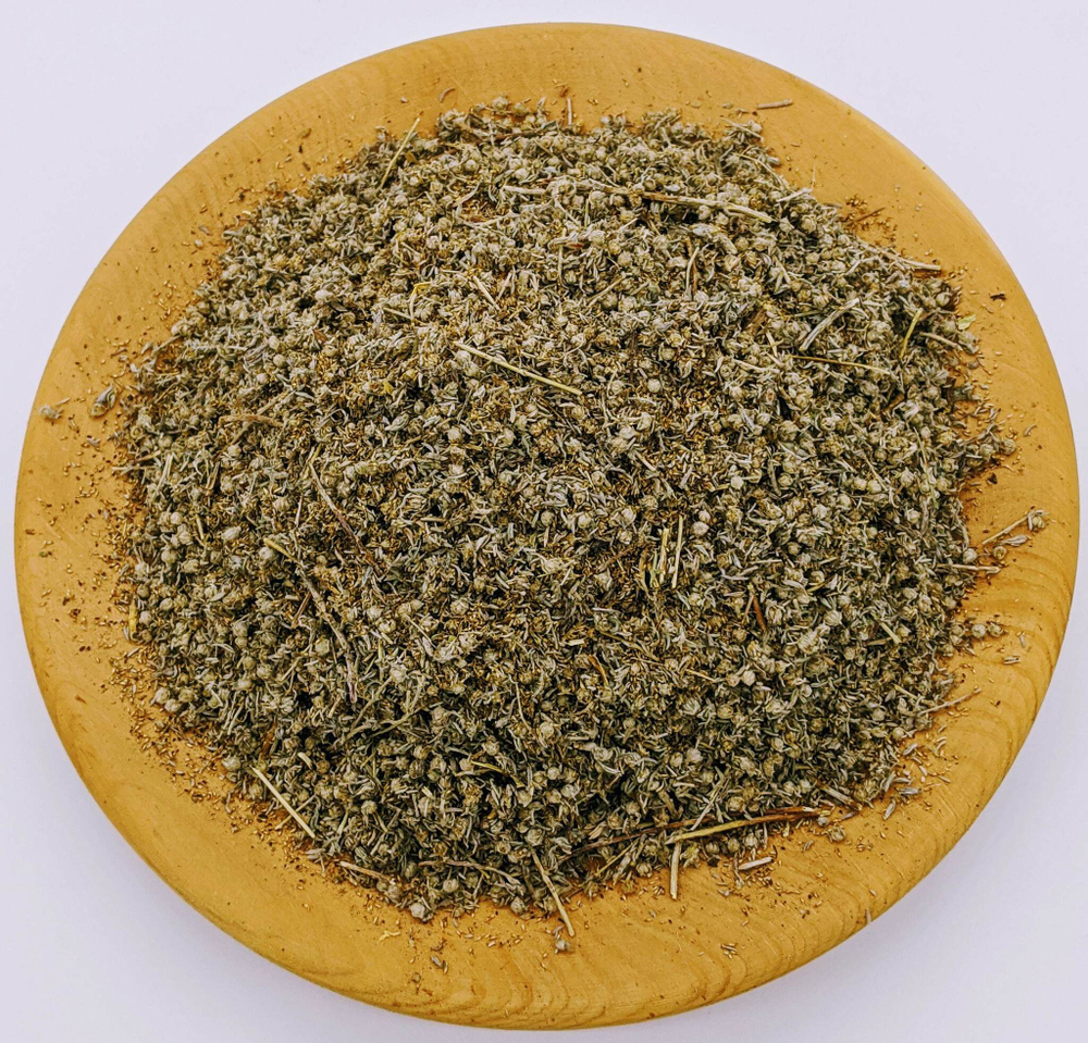 Полынь холодная