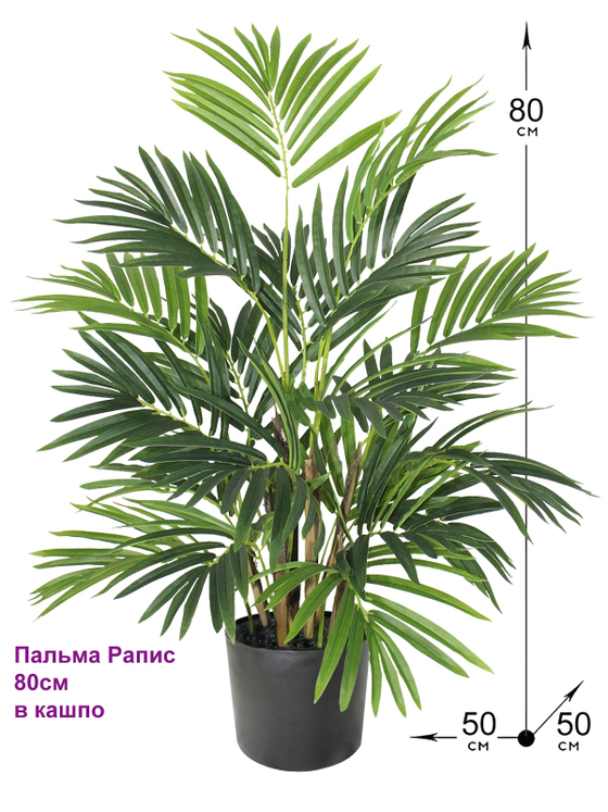 Искусственная пальма Рапис густая 80см в кашпо