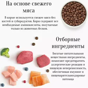 Корм для собак мини-пород, Grandorf, 4 вида мяса с бурым рисом, с пробиотиками