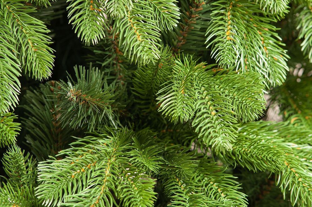 Ель с гирляндой встроенной «Парижанка» (Литая+пвх) 240 см / 2.4 м