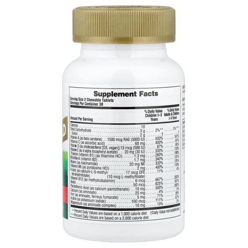 NaturesPlus, Animal Parade® Gold, жевательные мультивитамины для детей, с вишневым вкусом, 60 таблеток в форме животных