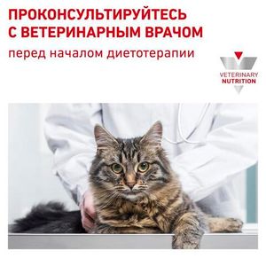 Пауч для кастрированных/стерилизованных котов и кошек, VCN Royal Canin Skin & Coat Formula, повышенной чувствительностью кожи и шерсти