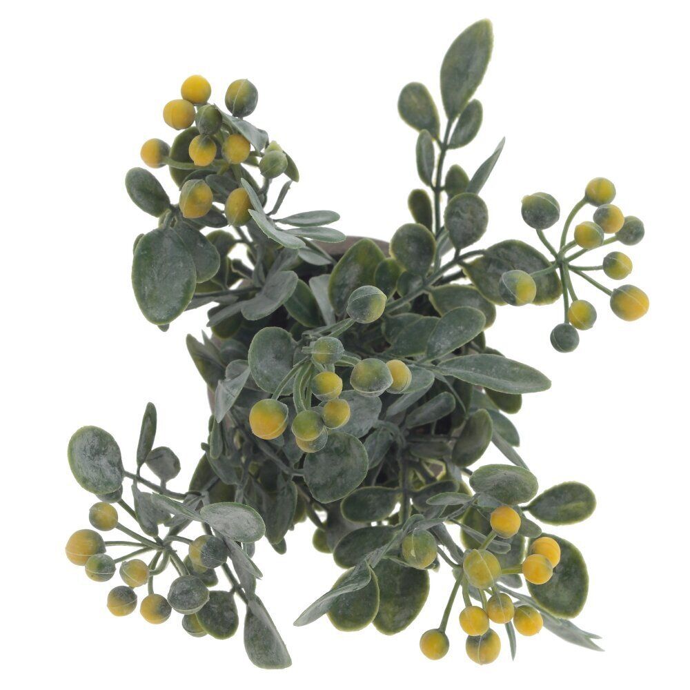 GAEM Цветочная композиция, L8 W8 H18 см