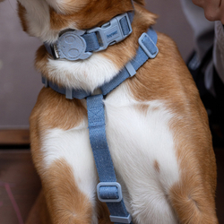 Шлейка MARINE NATURALS Zee.Dog