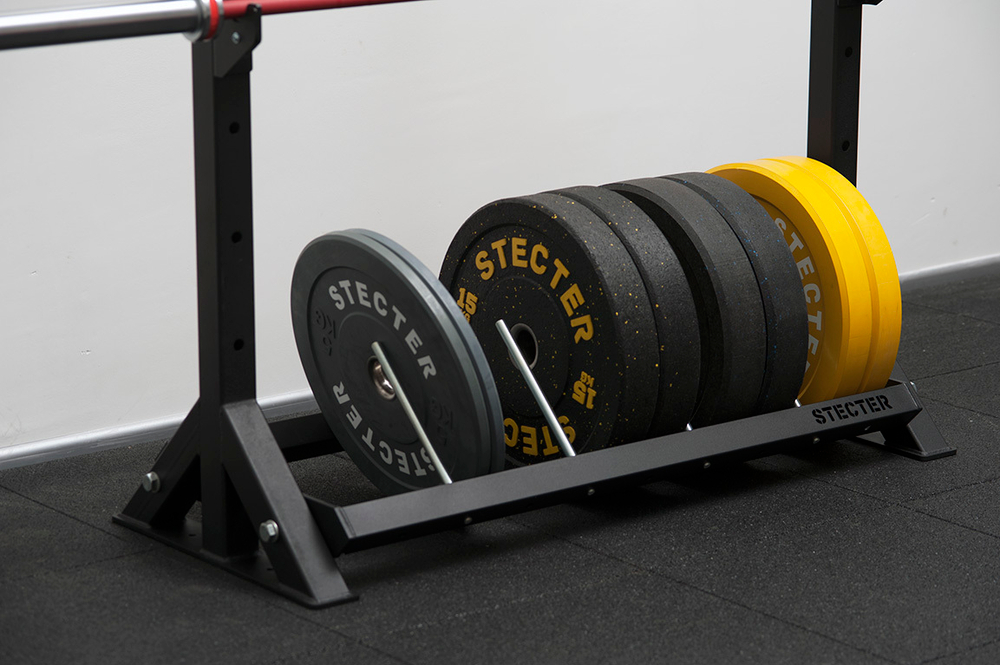 Стеллаж для хранения грифов и дисков 1100-1950