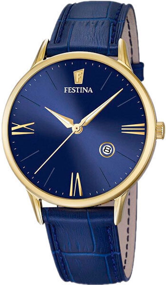 Мужские наручные часы Festina F16825/3