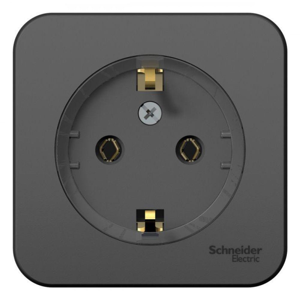 Розетка 1-м ОП Blanca 16А IP20 250В с заземл. без защ. шторок с изолир. пластиной (компакт) антрацит SE BLNRA110116 Розетка 1-м ОП Blanca 16А IP20 250В с заземл. без защ. шторок с изолир. пластиной (компакт) антрацит SE BLNRA110116