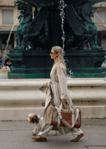 Закрытая сумка Пони-Тревелони