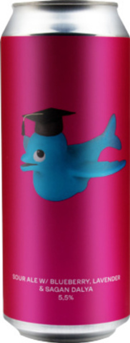 Пиво Долфинвулф Флай Фиш Юниверсити / Dolphinwolf Fly Fish University 0.5 - банка