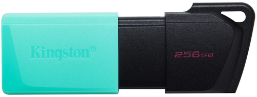 USB Flash карта Kingston DTXM/256GB 256 Гб