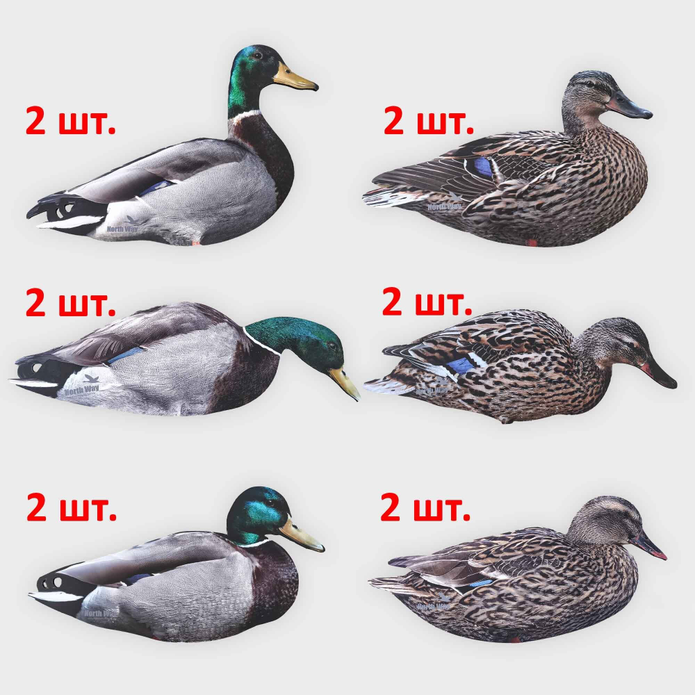 Кряква полевая 12 шт.