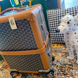 Goyard Bourget PM Trolley Case