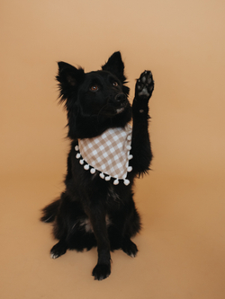 Бандана бежевая в клеточку