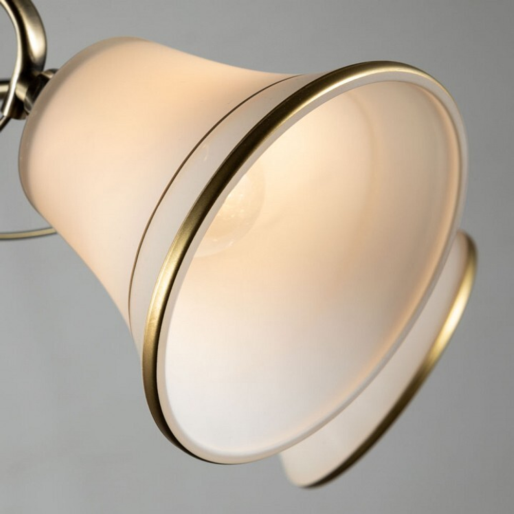 Люстра на штанге Arte Lamp A2709PL-5AB