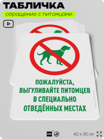 Табличка "Выгуливайте питомцев в специально отведенных местах" на дверь и забор, для двора, дома, подъезда, 40х30 см, Silver Plane x Айдентика Технолоджи