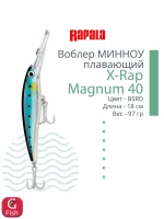 Воблер X-Rap Magnum 10, 11см, 22гр, цвет HH, плавающий