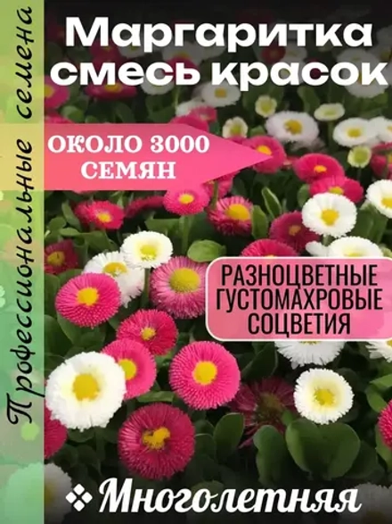 Семена Маргаритка Смесь окрасок 0,5 грамм