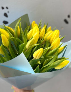 Букет из 25 жёлтых тюльпанов Стронг Голд