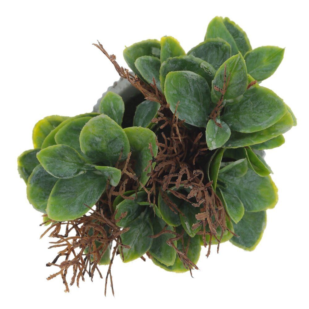 GAEM Цветочная композиция, L11 W11 H16 см, 2в.