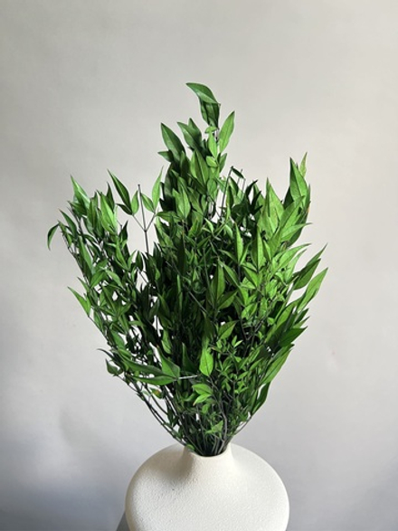 Нандина стабилизированная