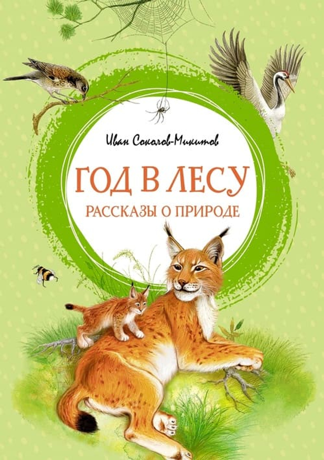 Год в лесу. Рассказы о природе
