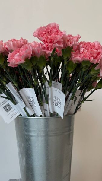 Цветы на открытие НутриЭры