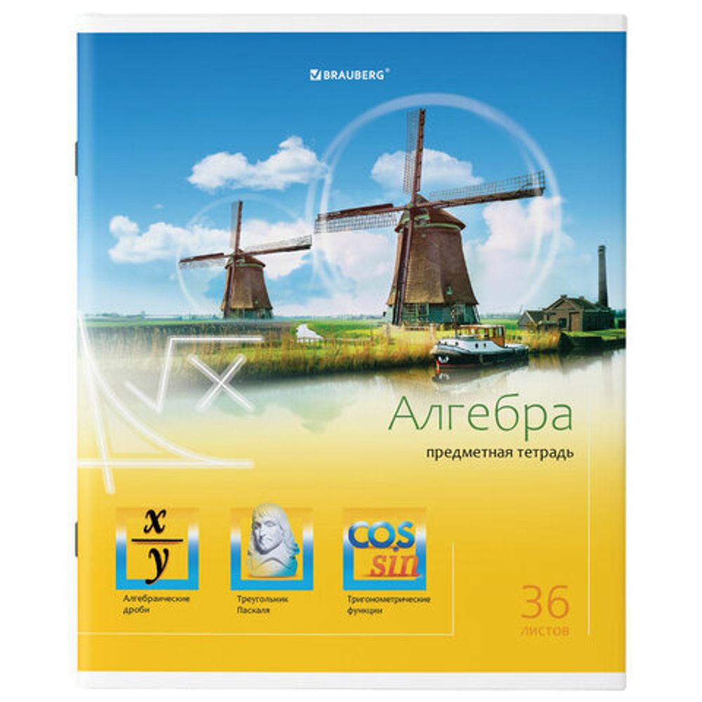 Тетрадь предметная "ЯРКАЯ", 36 л., обложка мелованная бумага, АЛГЕБРА, клетка, BRAUBERG, 404224