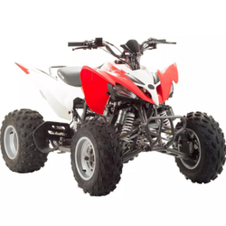Квадроцикл Motoland 250S