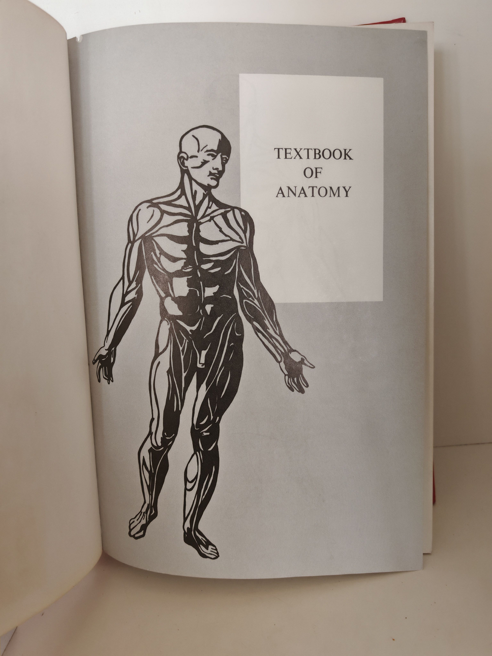 Textbook of Anatomy by W. Henry Hollinshead