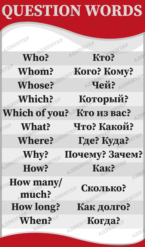 Стенд ВОПРОСЫ QUESTION WORDS АНГЛИЙСКИЙ 990