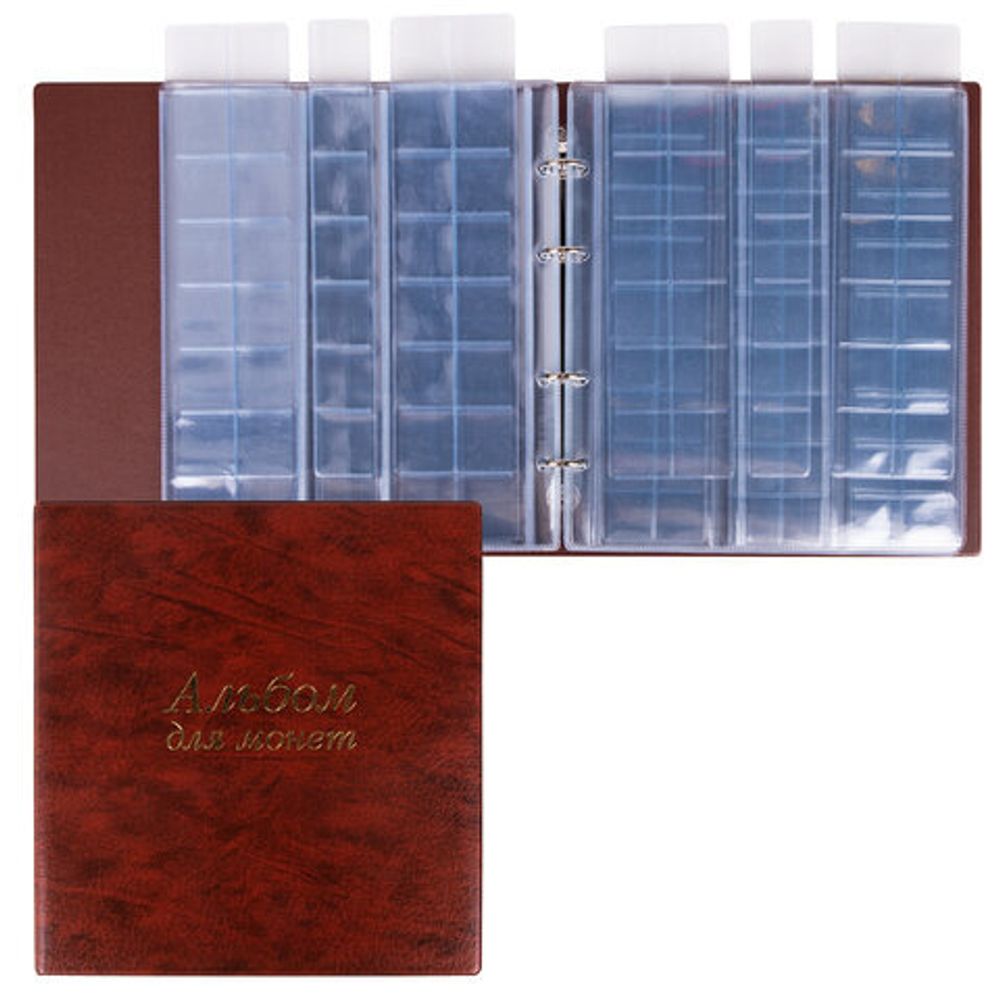 Альбом нумизмата для 380 монет (диаметр до 38 мм) и купюр, 253х238 мм, коричневый, ОСТРОВ СОКРОВИЩ, 237961