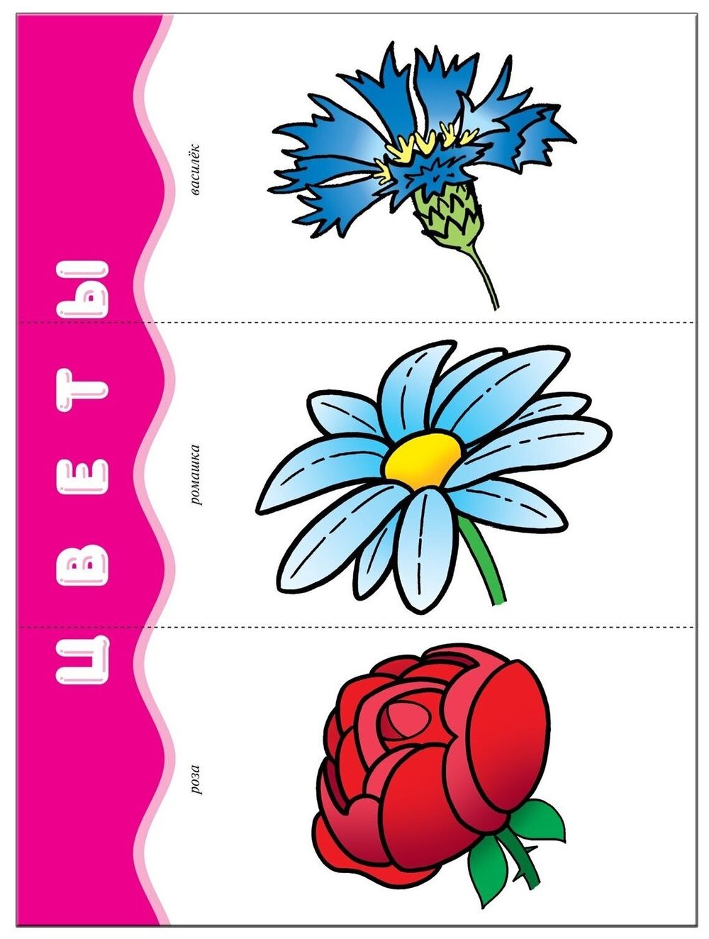 Комплект "Школа Семи Гномов 1+", Денисова Д., МС00474