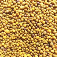 Osmocote Exact High K 5-6 мес. (11-11-18)