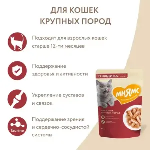 Пауч Мнямс для крупных кошек, кусочки в соусе с говядиной