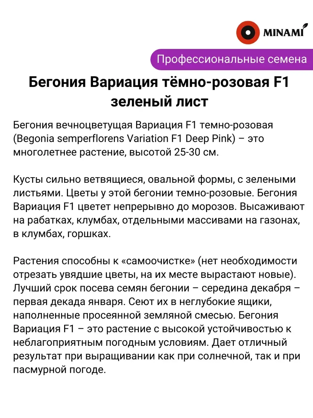 Бегония Вариация тёмно-розовая F1 зеленый лист семена 30шт