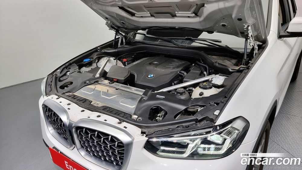 BMW X4 (G02) xDrive20i xLine (04.2023)